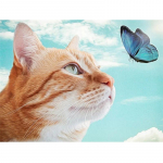 Teemantmaaling Kassi ja liblikaga Teemanttikandid Loomad Ristpistes t&auml;ispuuritud seinakleebised Full Round 20X30CM punane