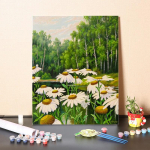 Digitaalne &otilde;limaal DIY maalimine numbrite j&auml;rgi numbrite maalimine kodukaunistuse numbritega &otilde;limaal l&otilde;uend 40x50cm no frame