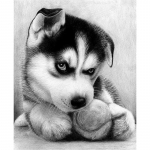 Uus 5D DIY Teemantmaaling Husky Teemanttikandid Loomade Ristpistes T&auml;isruudukujuline &uuml;mmargune puur K&auml;sit&ouml;&ouml; Kodukaunistus K&auml;sitsi kingitus Full Round 15x20CM