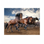 5D isetegemise teemantmaalikomplekt hoburistpiste komplekt t&auml;ispuur Teemanttikandid Loomad Mosaiik Kunst Rhinestones Decor pilt Full Round 20x30CM