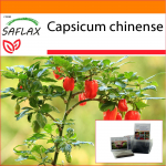 SAFLAX - Aed kotis - T&scaron;illi - Habanero Antillide punane - 10 seemet - Substraadiga sobivas p&uuml;stises kotis - Capsicum chinense