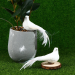 2 tk White Doves Feather kunstlik vaht Lover Peace Doves Bird Home Decor