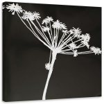 L&otilde;uendiprint Flower Black & White Nature 30x30 valge/must