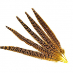 10tk Naturaalsed emase faasani saba suled meisterdamiseks isetehtud ploomid ehted pulmakaunistuste tegemine peokaunistused plumasid 23 -30cm 10pcs