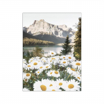 V&otilde;ililled Lilled Plakat Seinakunst L&otilde;uend Maali Metslille Maastik Daisy P&otilde;ld Pildid Magamistuba Kodu Tuba Seinakaunistused 21X30cm No Frame