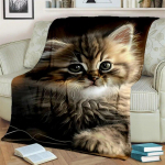 Armas Calico kass, Garfieldi kass, P&auml;rsia kass, Ragdoll Multifilmi tekk, Pehme tekk koduse magamistoa voodi diivanikatte tekk lastele 30x40in
