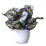 Kunstlik lehestik taim pottides bonsai pulmapidu Home Mall kirjutuslaud Kontori sisustus 5