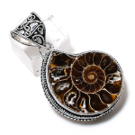 Natural Ammonite Fossil Gemstone Handmade 925 Sterling Silver Pendant 1.77 s1w34