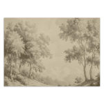 Tapeet Metsapuud loodus 350x245 hall v&auml;rv