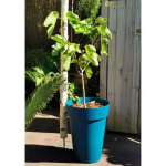 Bac &agrave; fleurs RIVIERA SOLEILLA - Plastique - Hauteur 53 cm - Bleu sinine