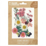 16 fleurs press&eacute;es - prairie rose