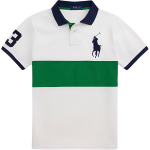 Polo Ralph Lauren triibuline logo kitsa l&otilde;ikega polos&auml;rk meestele topid Roheline 710969619-001 XS