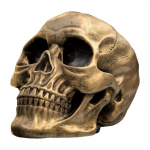 Kolju Ornament Realistlikud Detailid Vaikust Valmistatud Lauaarvuti Kolju Kuju Halloween Kontori Kodu Laua Aksessuaar kuldne