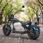 EL Kiire Tarne 2000W 60V 30Ah M1P Elektriline T&otilde;ukeratas 45km/h COC Kaks Laiat Rehvi E-chopper Populaarne Elektriline T&otilde;ukeratas T&auml;iskasvanule 2000w 60 V Front 14inch; Rear 13inch