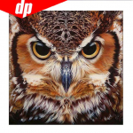 Teemanttikandid Loomade &ouml;&ouml;kull 5D teemantmaali ristpistes 25x25