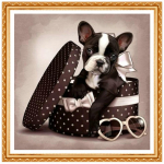 DIY kinkekarp koeraga 5D n&auml;put&ouml;&ouml; Teemantmaali Ristpistes Kodukaunistuse Teemant 20X30CM