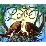 5D teemantmaal Kahe kulli teemanttikandid ristpistes kivist mosaiikmaal 20X30CM