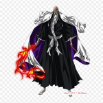 Yamamoto Genryūsai Shigekuni Genryusai Shigekuni Yamamoto Ichigo Anime Lron peal plaastrid riietele kott Ts&auml;rk soojus&uuml;lekande kleebised triibud aplikatsioonid