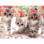 5D DIY Teemantmaaling Kolm kassi Ristpistete komplekt Mosaiik Teemanttikandid Roos T&auml;is&uuml;mmargune/ruudukujuline puur Kodukaunistus Round 20x30cm