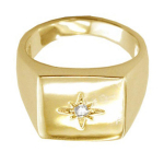 Kullatud m&auml;rgis&otilde;rmus  Charles  - 13x13 mm 60 valge