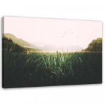 Feeby l&otilde;uenditr&uuml;kk, Linnud soodel 60x40 roheline