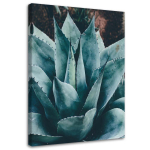 L&otilde;uendiprint Succulent Flower Leaves 40x60 roheline