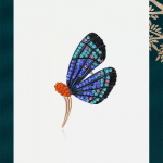 Suurep&auml;rased sinised liblikaga prossid naistele Elegantne temperament Korsar&otilde;ivad Aksessuaarid Ehted sinine