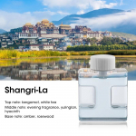 Ultraheli hajuti aroomiteraapia masin kaasaskantav &otilde;hupuhastaja pihusti majapidamise seina 50 ml eeterlike &otilde;lide l&otilde;hnahajuti