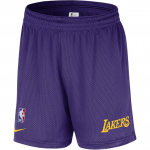 Nike NBA Los Angeles Lakers V&otilde;rk-L&otilde;tvad Mugavad Vabaaja Korvpallip&uuml;ksid Meeste p&uuml;ksid Lilla FQ3394-504 M