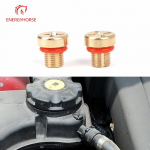 Adapted to Buick New LaCrosse New Regal Malibu Water Tank Water Pipe Drain and Release Screw Exhaust Bolt Drain 1PC