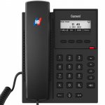 Guowei GW31 juhtmevaba IP-telefon (CN versioon)