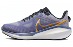 Nike Air Zoom Vomero 17 'Diffused Blue' Naiste FB8502-400 40