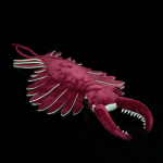 53X33CM Anomalocaris kaisuloom Simulatsioon Labidakujuline krevett Originaalne Paleontoloogia seeria Mereloomade mudelnukk Laste kingitused 53X33X8CM