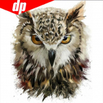 5D isetegemise teemantmaal &ouml;&ouml;kull ristpistes kaunis &ouml;&ouml;kull looma n&auml;put&ouml;&ouml; kodu dekoratiiv 30x30