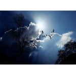 Ilumaastik Teemant DIY Tikandid Ristpistes Teemantmosaiik K&auml;sit&ouml;&ouml; Magamistoa sisekujundus 20X30CM