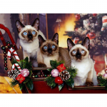 Teemantmaal  J&otilde;ulud ja kass  Tikand &Uuml;mmargune Teemantristpistega Rhinestone Mosaiic Decor 20X30CM