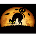 T&auml;ielik 5D teemantmaaling Salap&auml;rane musta kassi teemanttikandid t&auml;ispistes ristpistes kodukaunistus k&auml;sitsi valmistatud kingitus 20x30cm