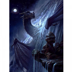 Teemantmaaling Moon Dragon Teemanttikandid Loomade ristpistes Kodukaunistus 20X30CM