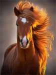 Diamont Painting Animal 5D Teemantmaal Mosaiik Ristpistes Teemanttikandid 15*20cm