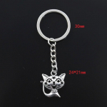 Moodne v&otilde;tmehoidja 24x21mm &Otilde;&otilde;nes naeratus Star Cat H&otilde;beda v&auml;rvi ripatsid DIY Meeste Ehted Auto v&otilde;tmehoidja s&otilde;rmuse hoidja Suveniir kingituseks h&otilde;be