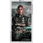 5D DIY raam Teemantmaal, V&otilde;idus&otilde;itja ristpistes tikandid Multifilm Mosaiik Portree K&auml;sitsi valmistatud kingitus seinakaunistus Full Round 20x40CM