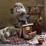 5D Teemantmaaling Siil Kohv Teemanttikandid T&auml;ielik Anime Ristpistekomplektid Kodukaunistus K&auml;sitsi valmistatud kingitus Round 25x25cm