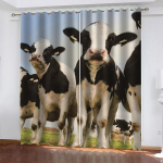 &Ouml;&ouml;silmadega pimendav voldikkardin magamistuppa, kardinad elutuppa, vasak ja parem pool avanevad 100W130H(CM)40x51in&Hook