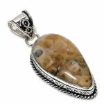 Fossil Coral Gemstone Handmade 925 Sterling Silver Jewelry Pendant 2.05 q3d95