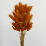 50 tk Loodusj&auml;nku j&auml;nesaba rohu kuivatatud lillekimp Pulmapeo kujundus Kohev pampa j&otilde;ulutehtud lilleseade A8