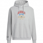 Adidas Originals Vrct Fw24 Hd Pullover meeste kapuutsiga pusa, keskmine hall JW1964 XL