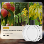 Nutikas aroomiteraapiamasin &otilde;huv&auml;rskendaja puhasti automaatne pihusti eeterlike &otilde;lide parf&uuml;&uuml;mi difuusor elutoa tualettruumi desodoraator