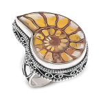 Natural Ammonite Fossil Gemstone 925 Sterling Silver Jewelry Ring Size 7 i7b88