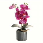 Elegantne 8-&otilde;ieline Phalaenopsis orhidee bonsaibloom - Elutruu kunstlik potitaim kodu kaunistamiseks, sisaldab potti lilla