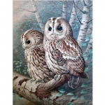 T&auml;ielik 5D Teemantmaaling Loomade &ouml;&ouml;kull Mosaiik Tikand Ristpistes Kodukaunistus K&auml;sitsi valmistatud kingitus 25x30cm